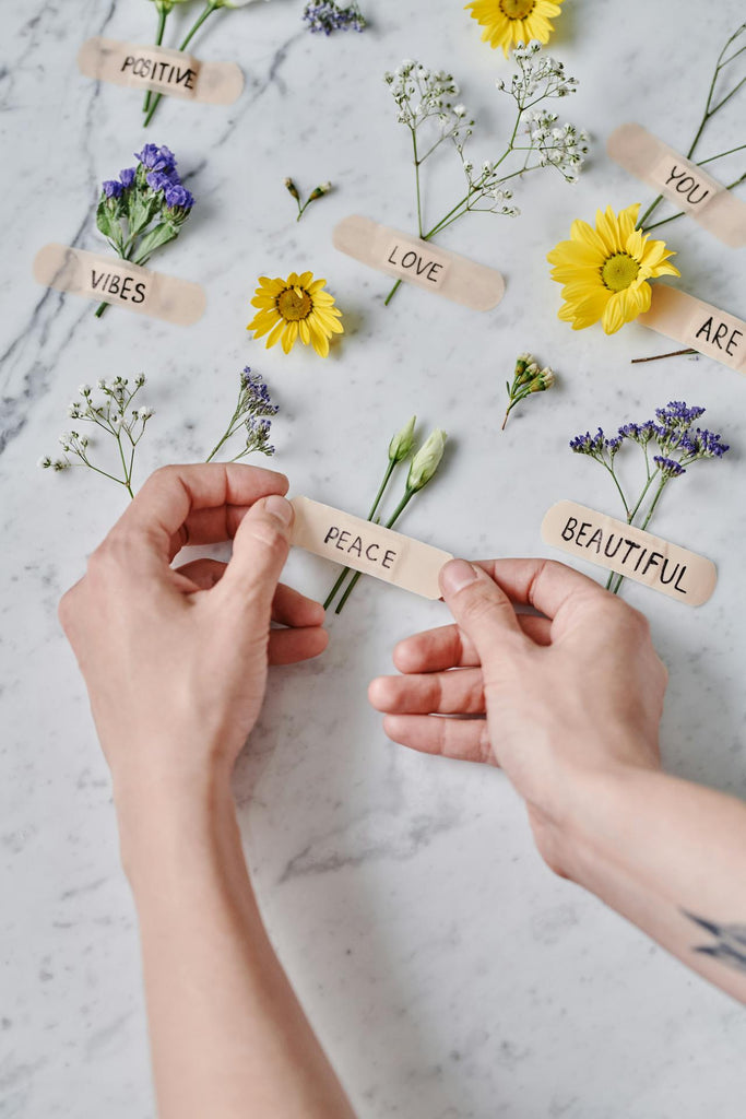 The Power of Positivity: Transforming Your Life One Thought at a Time