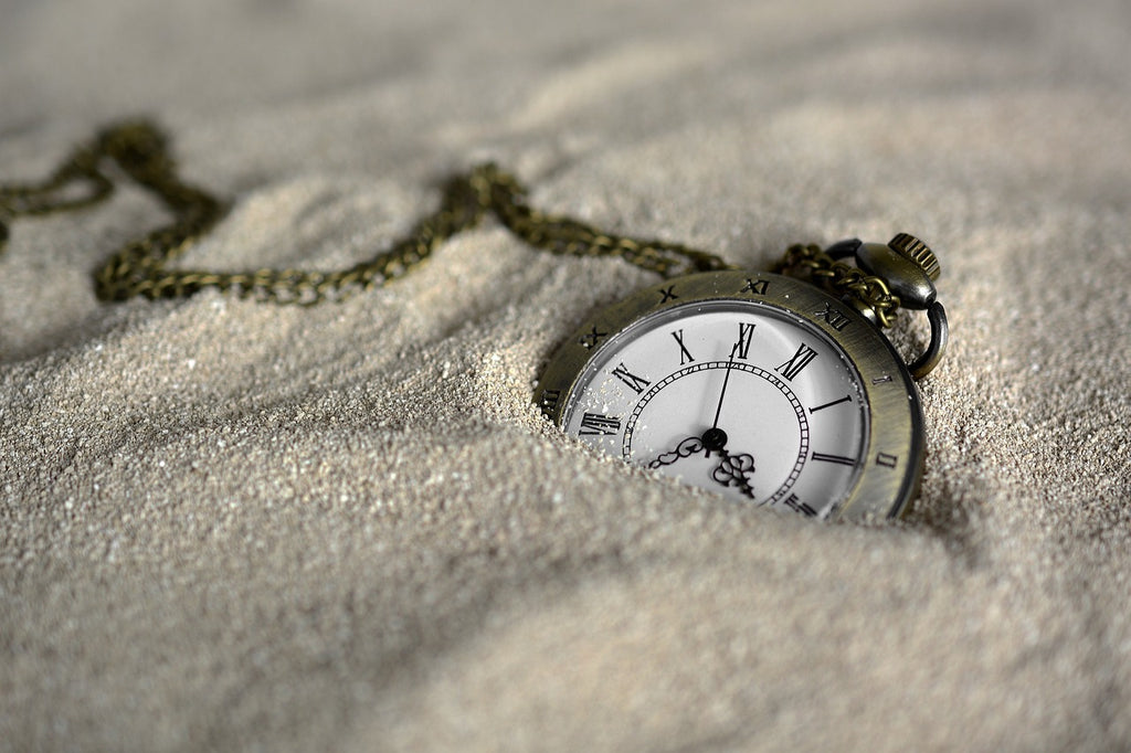 The Timeless Wanderer