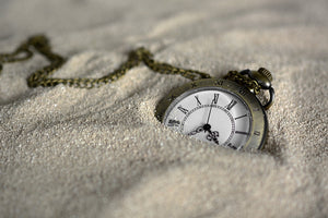 The Timeless Wanderer